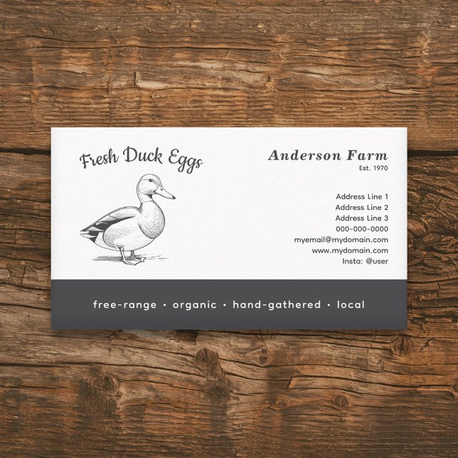 Enkla färska ägg från Anka Visitkort (Simple Fresh Farm Duck Eggs Business Card)