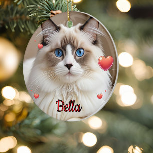 Enkla fotomörter Pet CAT Personalize Julgransprydnad Keramik