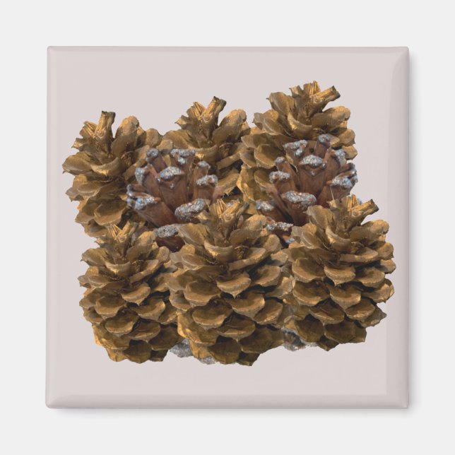 Enkla Pinecones Magnet (Framsidan)