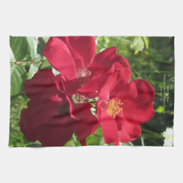Enkla röd ros kökshandduk