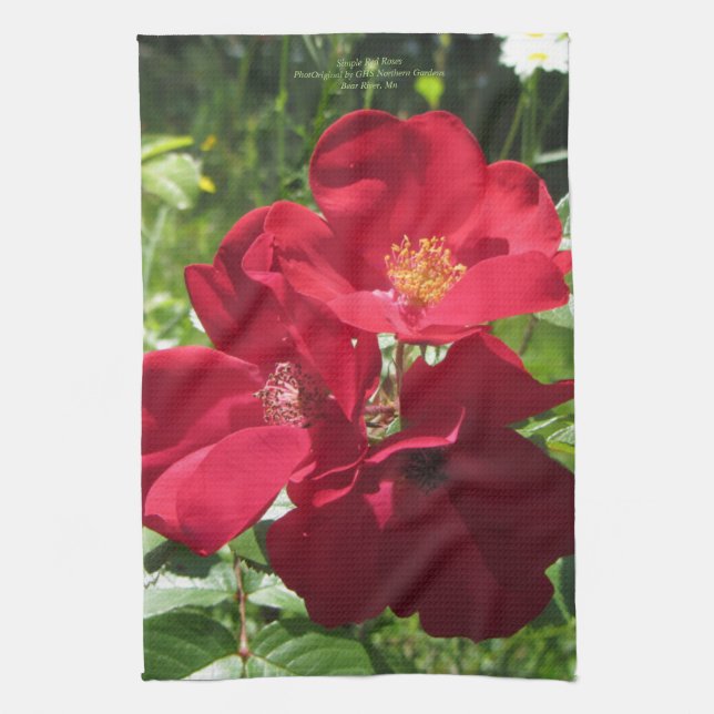 Enkla röd ros kökshandduk (Vertikal)