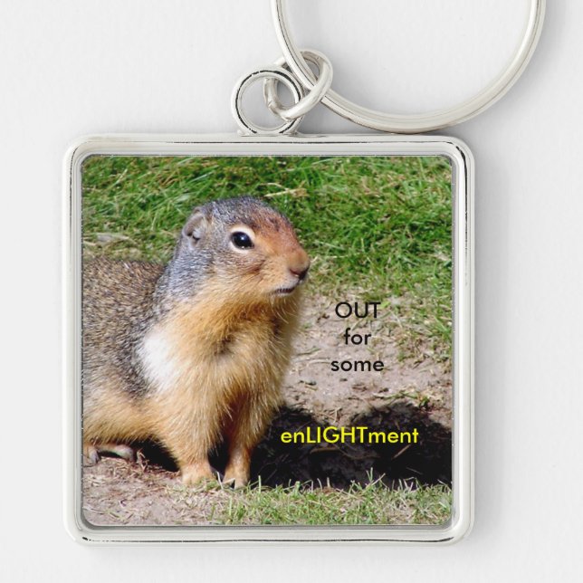 Enlightment/gulliga Groundhog Keychain Fyrkantig Silverfärgad Nyckelring (Framsidan)