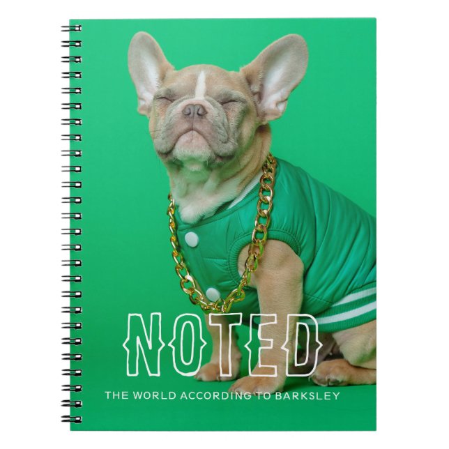 Enligt Anpassadets fotopatbok Anteckningsbok (Framsidan)