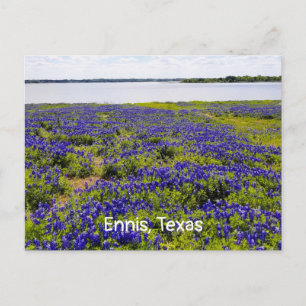 Ennis Bluebonnet från Sjö Bardwell Postcard Vykort