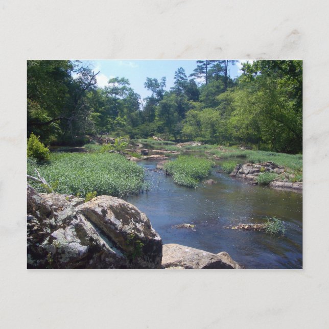 Eno River, North Carolina Vykort (Framsida)