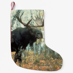 Enorm älg liten julstrumpa