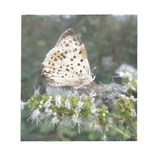 Enorm Cream och Chocolate Butterfly Anteckningsblock