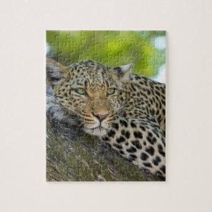 Enorm Leopard Pussel