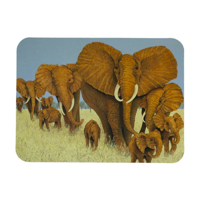 Enorm men omtänksam magnet (Horisontell)