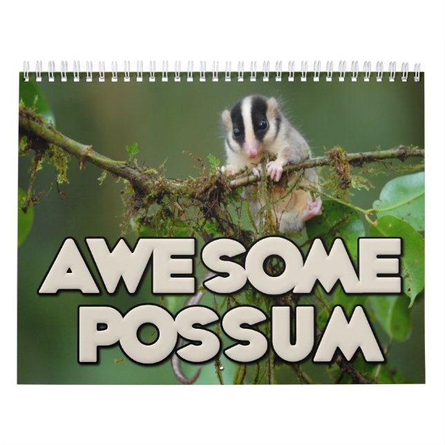 Enorm pungråttaväggkalender kalender (Omslag)