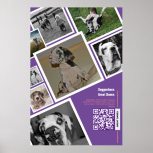 Enorm stor hund säljer poster