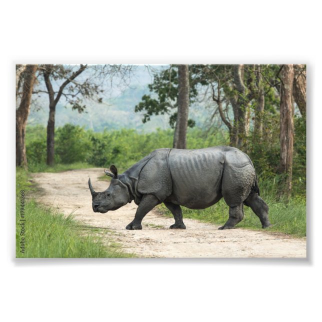 Enorm Wildlife-grafik för ditt space Fototryck (Framsidan)