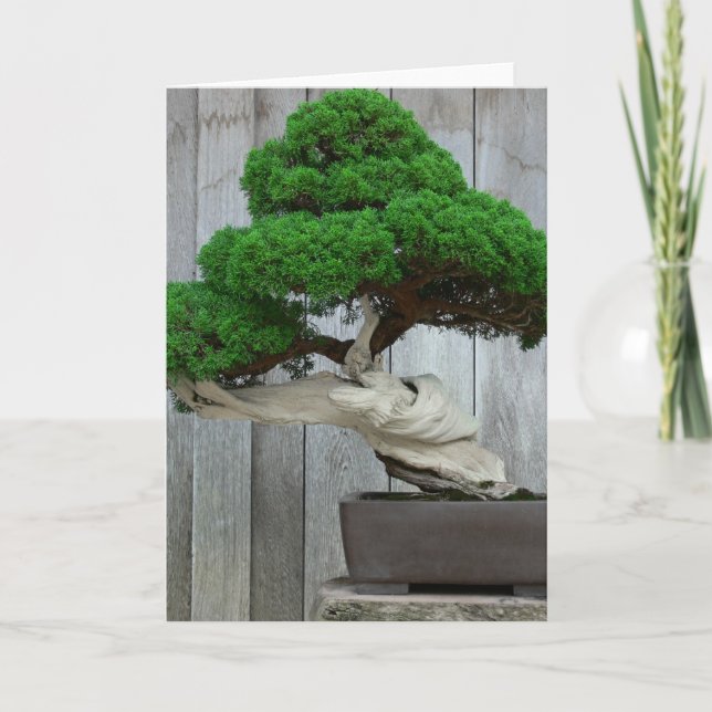Enorma enBonsai Kort (Framsida)