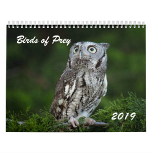Enorma fåglar av den rovfotokalendern 2019 kalender