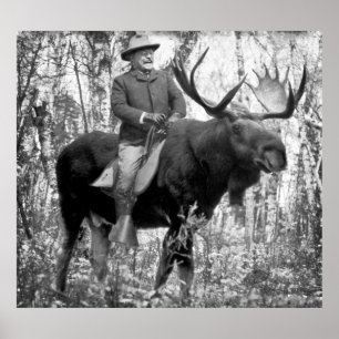 Enorma Teddy Roosevelt som rider en tjurälg Poster