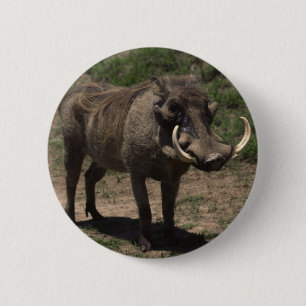 Enorma Warthog Knapp