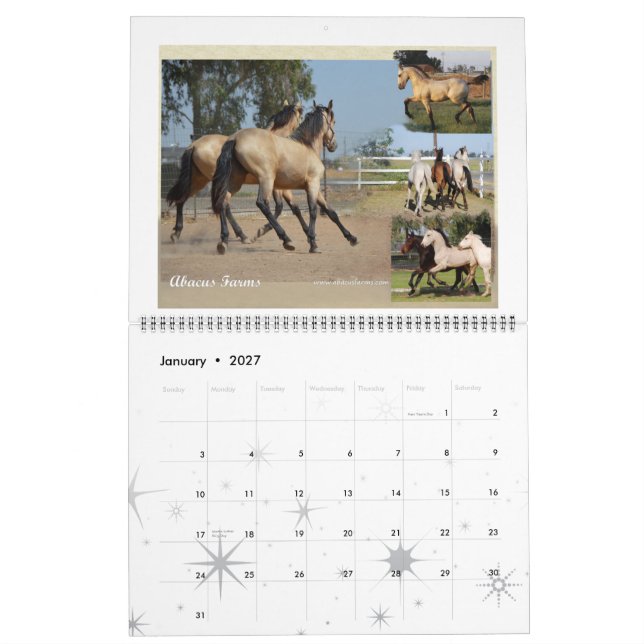 Enormt foto för Friesianarv Kalender (Jan 2027)