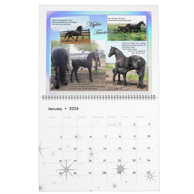 Enormt foto för Friesianhäst Kalender (Jan 2026)