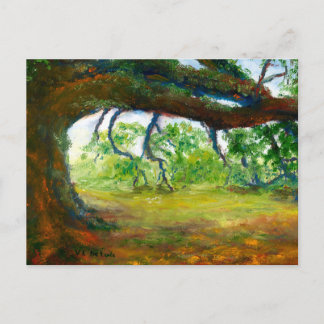 Enormt gammalt Louisiana Oakträd Vykort