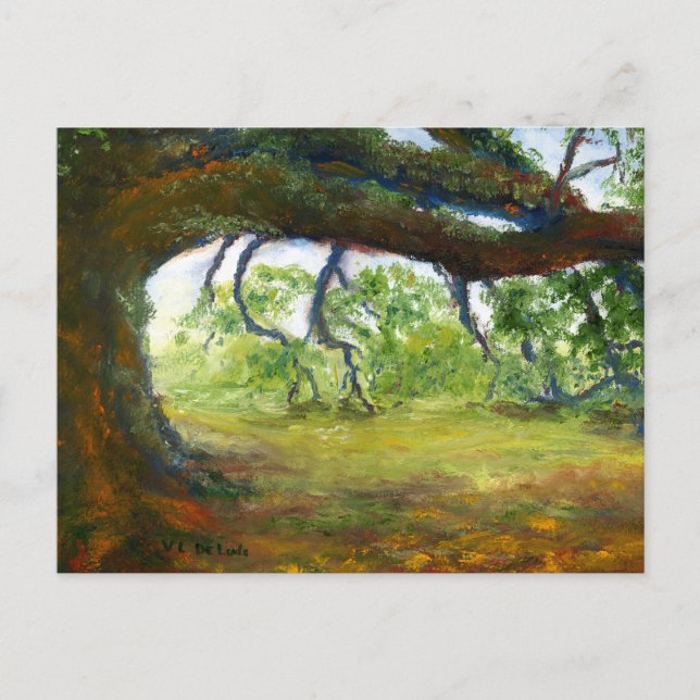Enormt gammalt Louisiana Oakträd Vykort (Framsida)