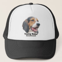 Enormt lock för Treeing fotgängareCoonhound