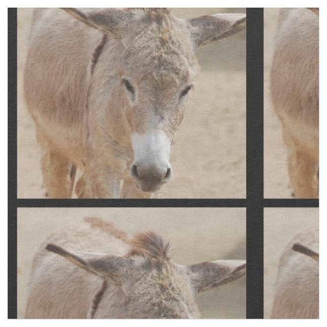 Ensam åsna tyg (Närbild)