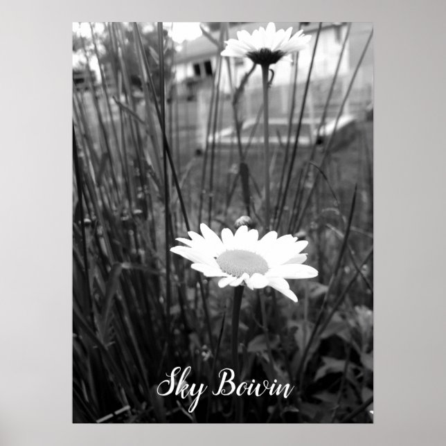 ensam daisy poster (Framsidan)