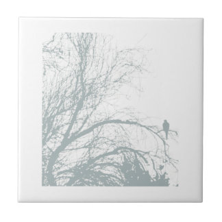 ENSAM DUVA, AQUA KAKELPLATTA