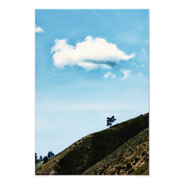 Ensam Fototryck (Framsidan)