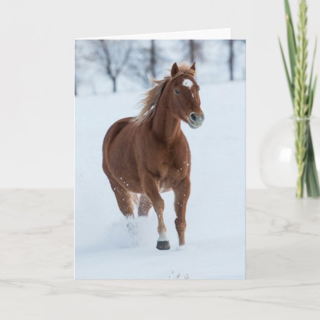 Ensam häst springer i snö kort (Framsida)