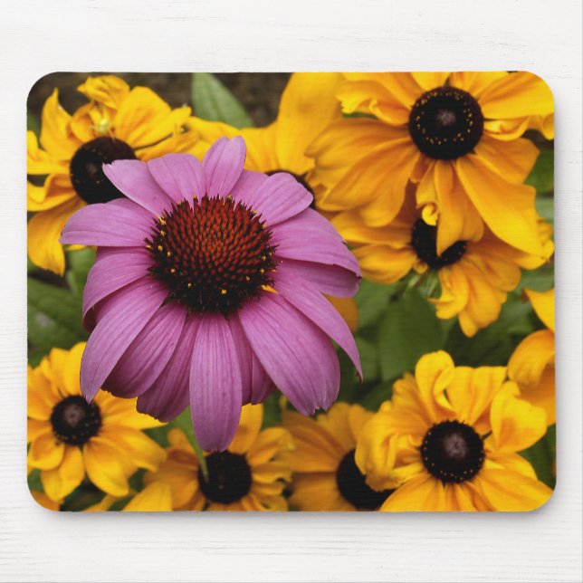 Ensam i folkmassan musmatta (Framsidan)