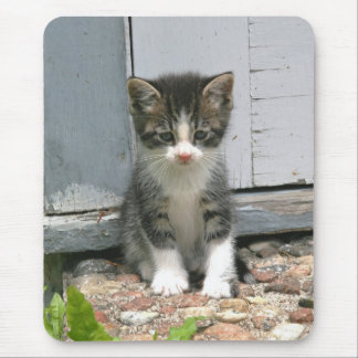 Ensam ledsen Gershwin kattungekattunge Mousepad Musmatta