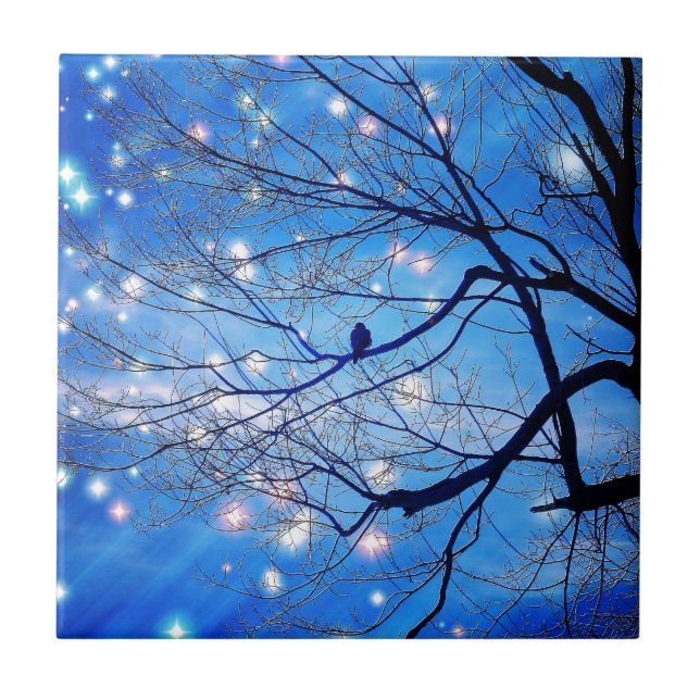 Ensam med stjärnor kakelplatta (Framsidan)