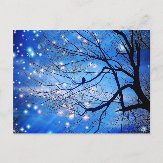 Ensam med stjärnor vykort (Framsida)