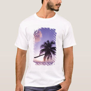 Ensam palmer vid solnedgång, Coconut Grove strand Tee