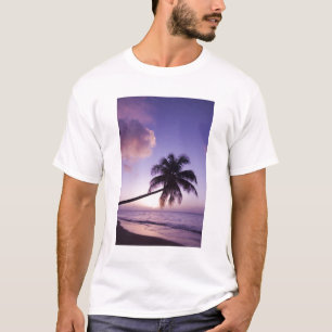 Ensam palmer vid solnedgång, Coconut Grove strand Tee Shirt