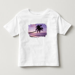 Ensam palmträd vid solnedgång, Coconut Grove stran Tee