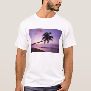 Ensam palmträd vid solnedgång, Coconut Grove stran Tee Shirt