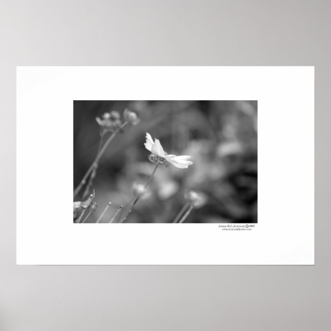 Ensam Poster (Framsidan)