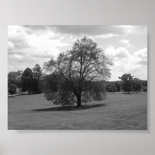 Ensam Poster (Framsidan)