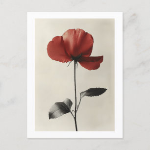 Ensam röd blomma vykort