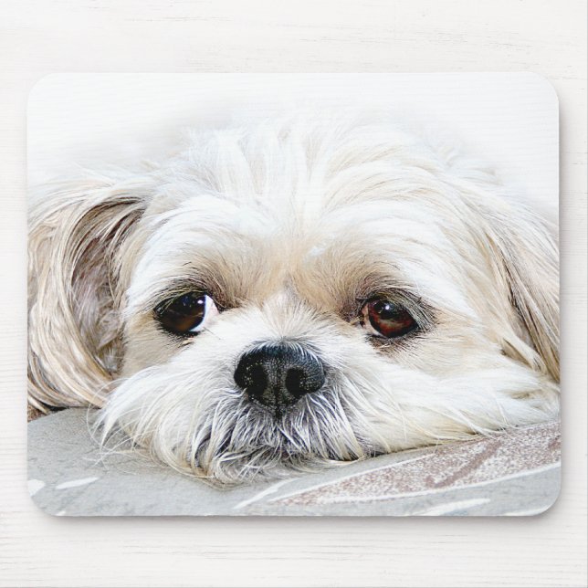 ensam shih tzu mousepad musmatta (Framsidan)
