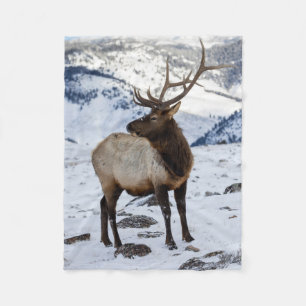 Ensam tjurälg i snö Yellowstone National Park Fleecefilt