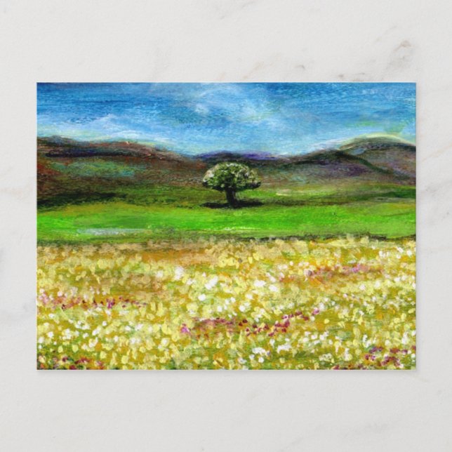 ENSAM TRÄD I GULT BLOMFÄLT, TOSCANA VYKORT (Framsida)