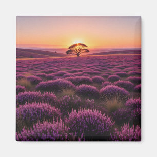 Ensam träd North York Moors nationalpark England Magnet