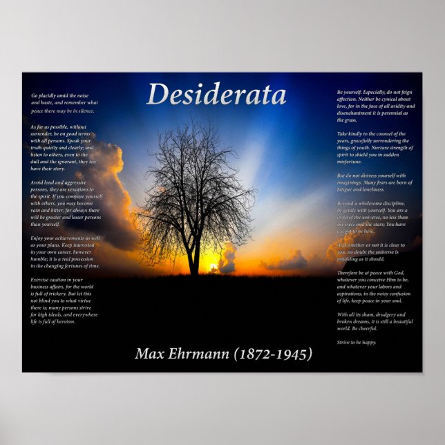 Ensam Träd Poster (Framsidan)