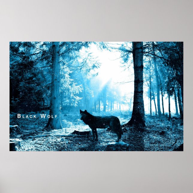 Ensamen Black Varg i skogen Poster (Framsidan)