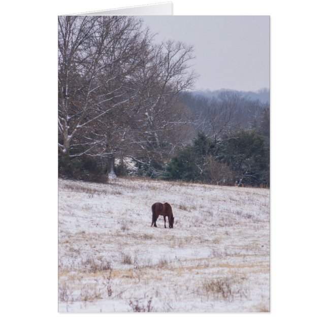ENSAMEN i SNÖ OBS Kort (Framsidan)