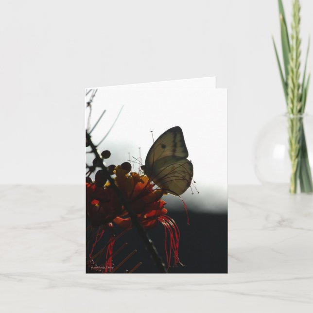 ENSAMHET 5a Kort (Framsida)