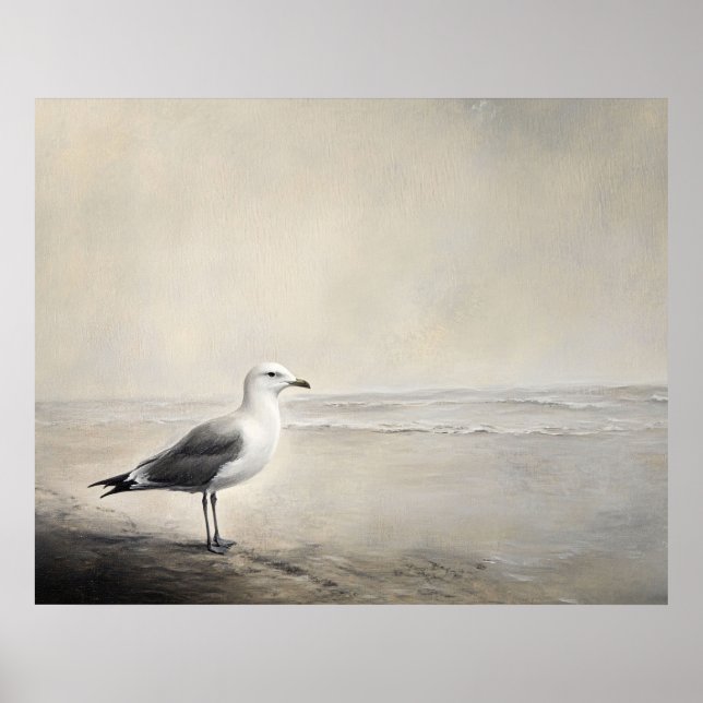 Ensamma måsar vid stranden poster (Framsidan)